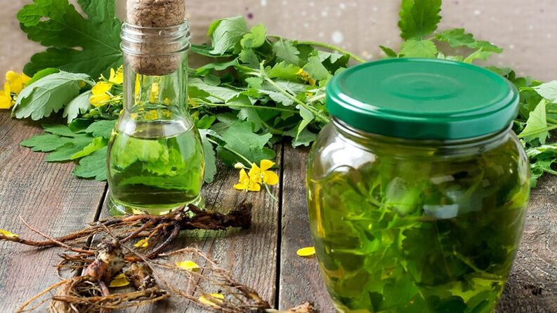 Celandine - a folk remedy for the treatment of fungal infections in the legs